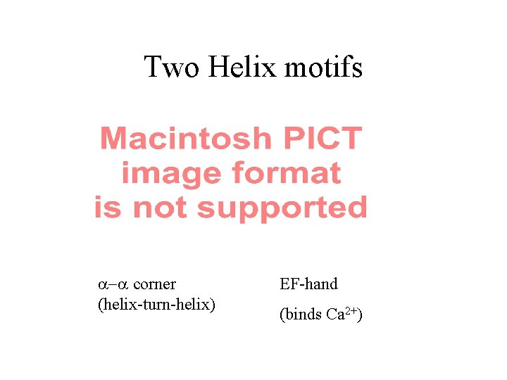 Two Helix motifs - corner (helix-turn-helix) EF-hand (binds Ca 2+) 
