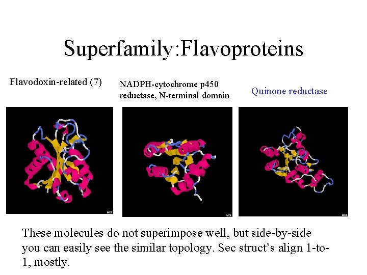 Superfamily: Flavoproteins Flavodoxin-related (7) NADPH-cytochrome p 450 reductase, N-terminal domain Quinone reductase These molecules