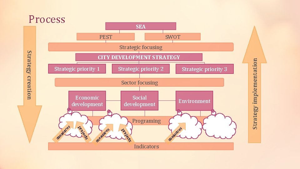 Process SEA PEST SWOT Strategic priority 2 Strategic priority 1 Strategic priority 3 Sector