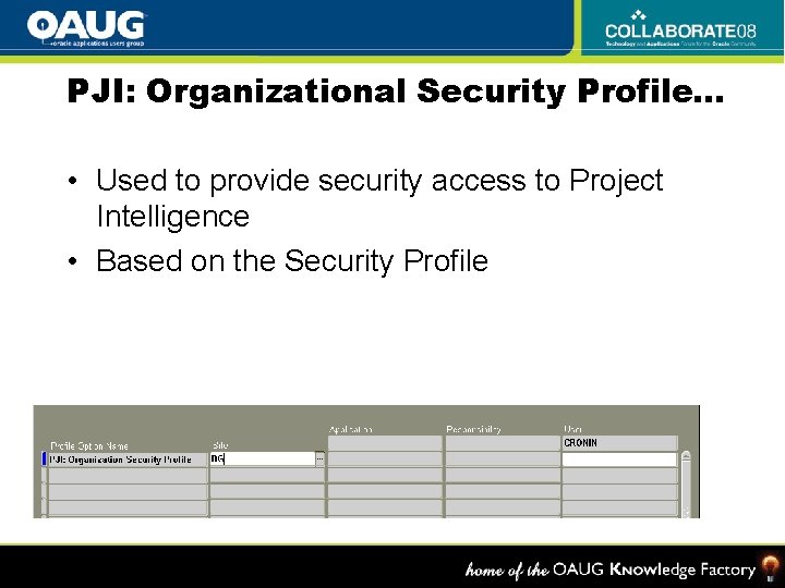 PJI: Organizational Security Profile… • Used to provide security access to Project Intelligence •