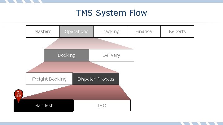 TMS System Flow Masters Operations Booking Freight Booking Manifest Tracking Delivery Dispatch Process THC