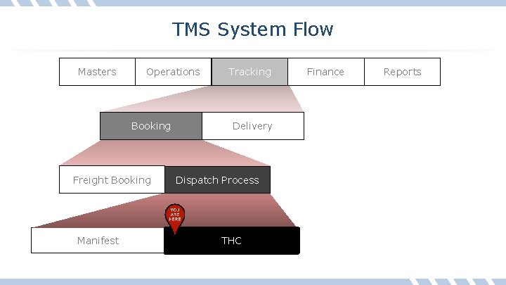 TMS System Flow Masters Operations Booking Freight Booking Manifest Tracking Delivery Dispatch Process THC