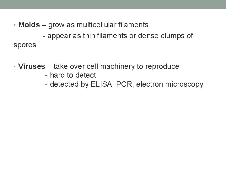  • Molds – grow as multicellular filaments - appear as thin filaments or