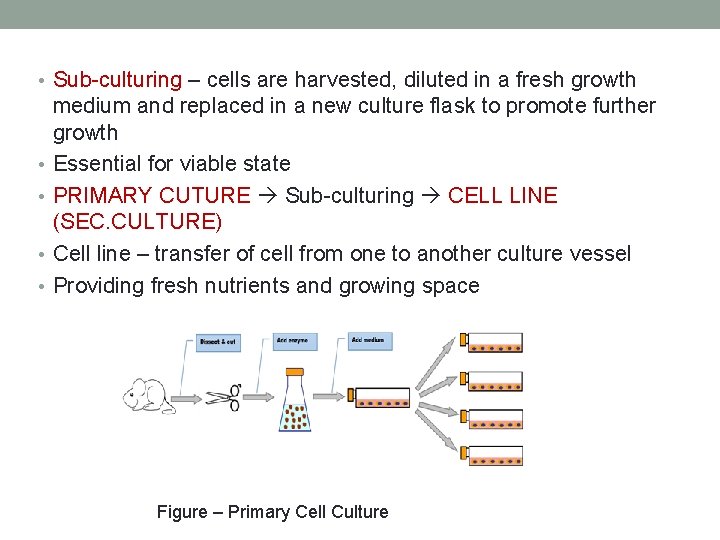  • Sub-culturing – cells are harvested, diluted in a fresh growth • •