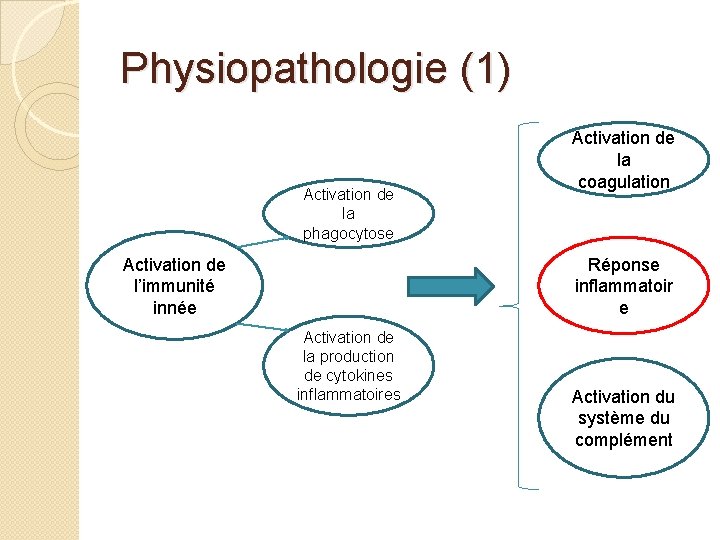 Physiopathologie (1) Activation de la phagocytose Activation de l’immunité innée Activation de la coagulation