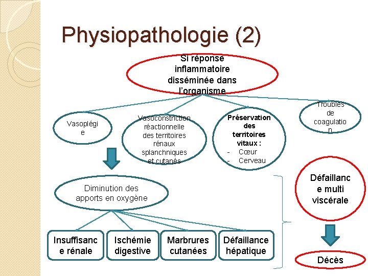 Physiopathologie (2) Si réponse inflammatoire disséminée dans l’organisme Vasoplégi e Vasoconstriction réactionnelle des territoires