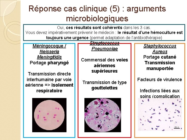 Réponse cas clinique (5) : arguments microbiologiques Pneumocoque / Oui, ces résultats sont cohérents