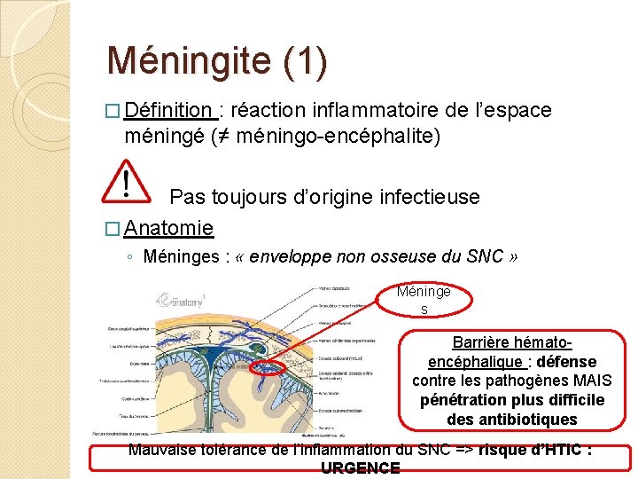 Méningite (1) � Définition : réaction inflammatoire de l’espace méningé (≠ méningo-encéphalite) Pas toujours