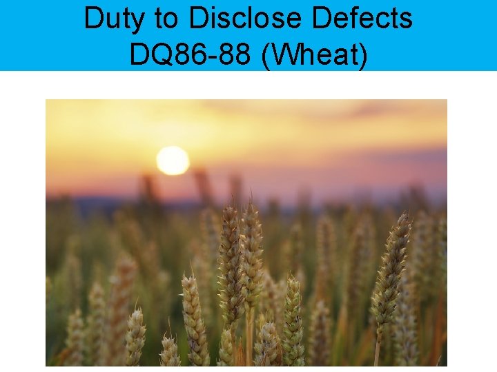 Duty to Disclose Defects DQ 86 -88 (Wheat) 