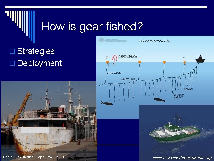 How is gear fished? o Strategies o Deployment Photo: Kim Dietrich, Cape Town, 2010