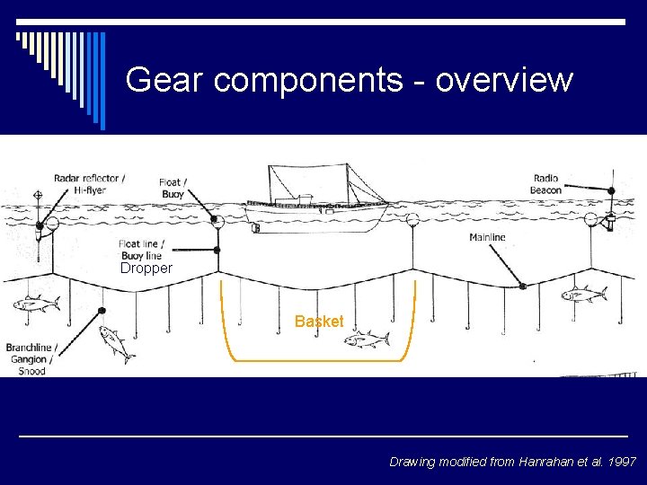 Gear components - overview Dropper Basket Drawing modified from Hanrahan et al. 1997 
