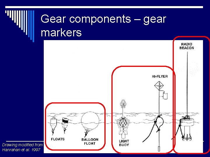 Gear components – gear markers Drawing modified from Hanrahan et al. 1997 