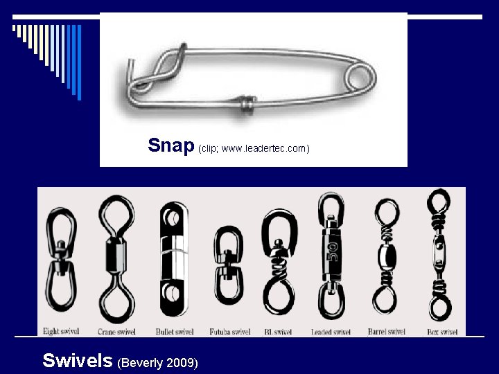 Snap (clip; www. leadertec. com) Swivels (Beverly 2009) 
