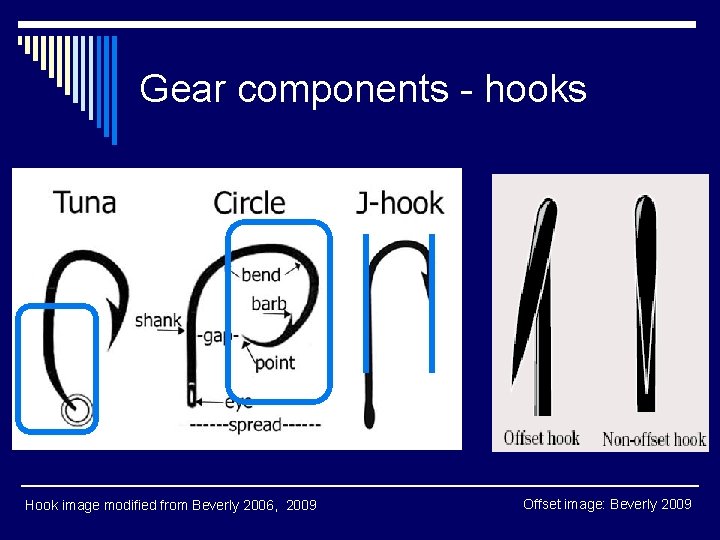 Gear components - hooks Hook image modified from Beverly 2006, 2009 Offset image: Beverly