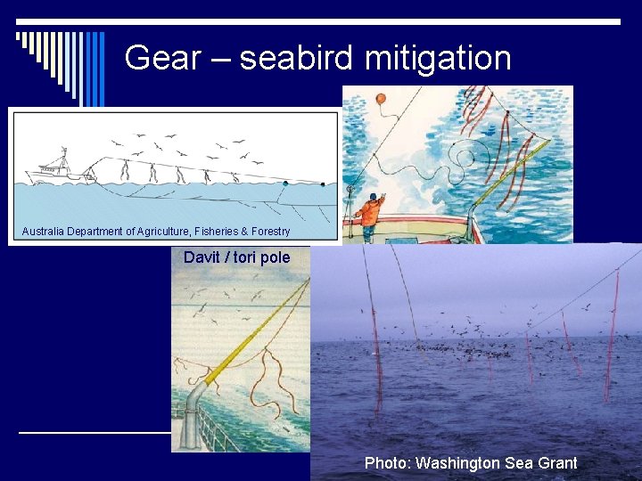 Gear – seabird mitigation Australia Department of Agriculture, Fisheries & Forestry Davit / tori