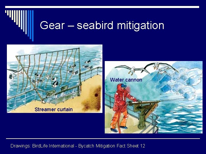 Gear – seabird mitigation Water cannon Streamer curtain Drawings: Bird. Life International - Bycatch
