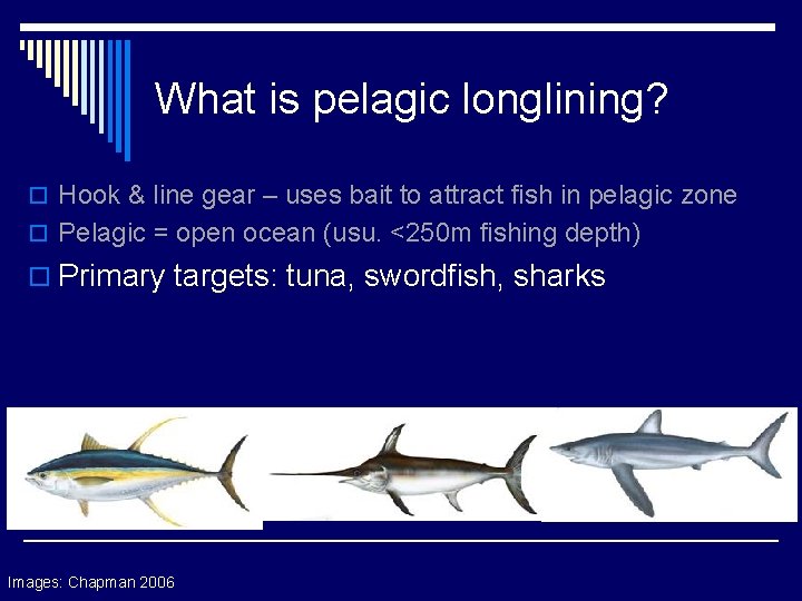 What is pelagic longlining? o Hook & line gear – uses bait to attract