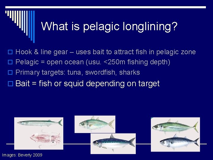 What is pelagic longlining? o Hook & line gear – uses bait to attract