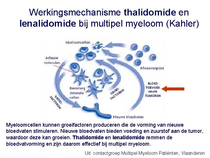 Werkingsmechanisme thalidomide en lenalidomide bij multipel myeloom (Kahler) Myeloomcellen kunnen groeifactoren produceren die de