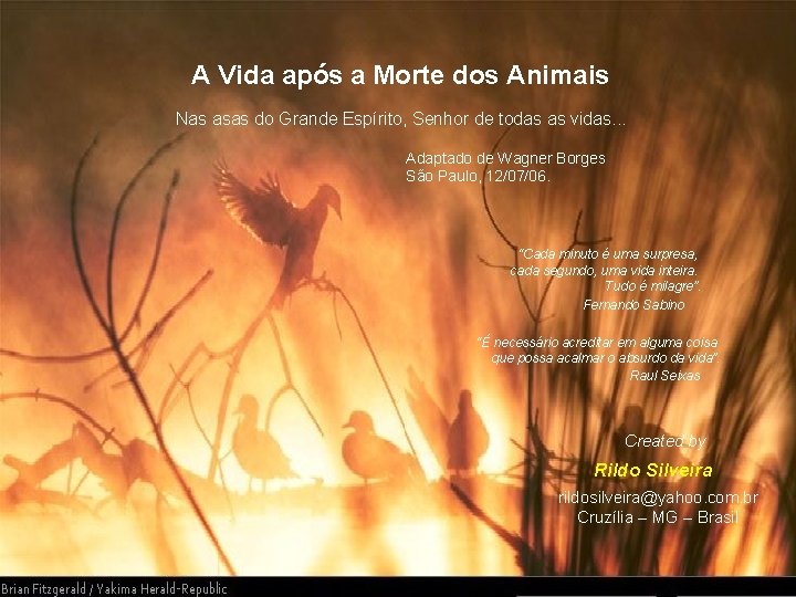 A Vida após a Morte dos Animais Nas asas do Grande Espírito, Senhor de