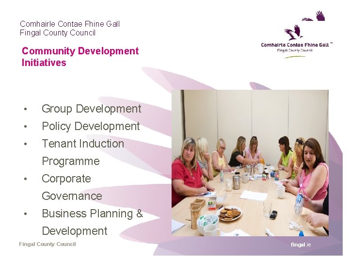 Comhairle Contae Fhine Gall Fingal County Council Community Development Initiatives • Group Development •
