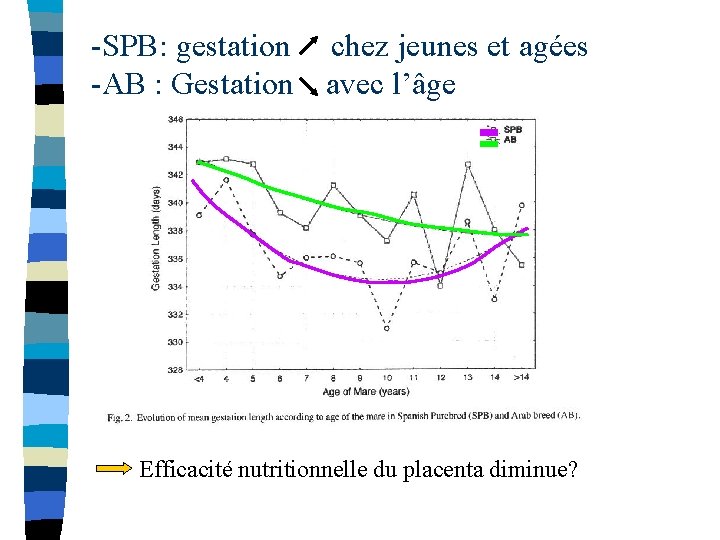 -SPB: gestation -AB : Gestation chez jeunes et agées avec l’âge Efficacité nutritionnelle du