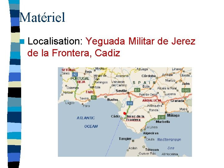 Matériel n Localisation: Yeguada Militar de Jerez de la Frontera, Cadiz 