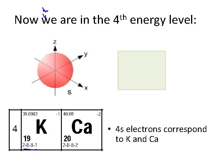 Now we are in the 4 th energy level: • 4 s electrons correspond