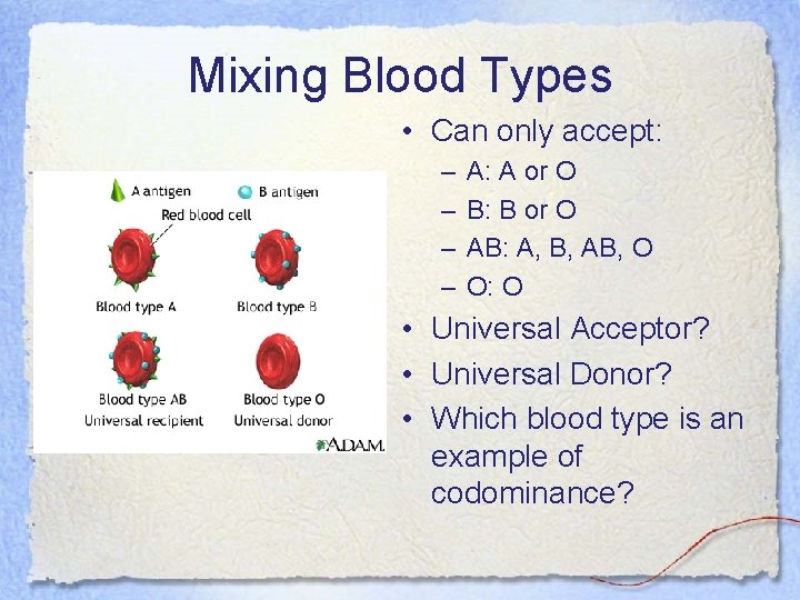 Mixing Blood Types • Can only accept: – – A: A or O B: