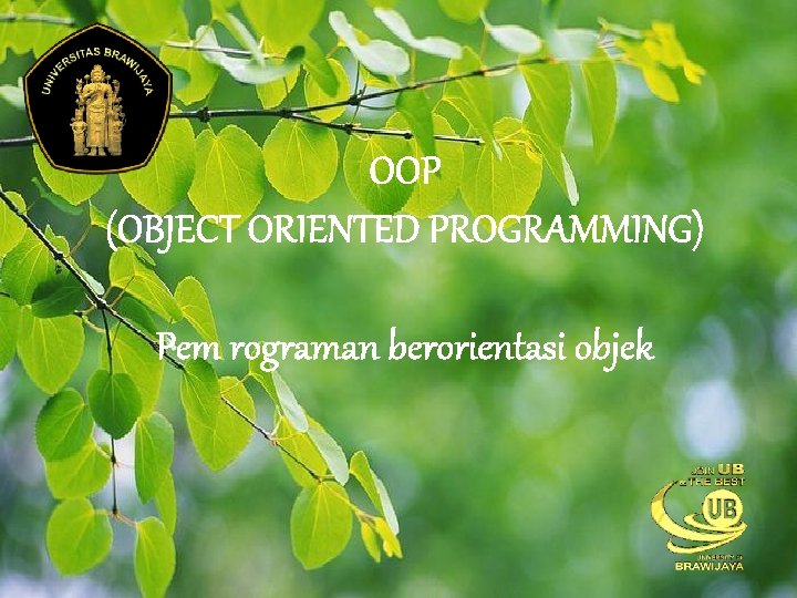 OOP (OBJECT ORIENTED PROGRAMMING) Pem rograman berorientasi objek 