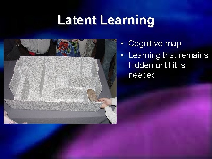 Latent Learning • Cognitive map • Learning that remains hidden until it is needed