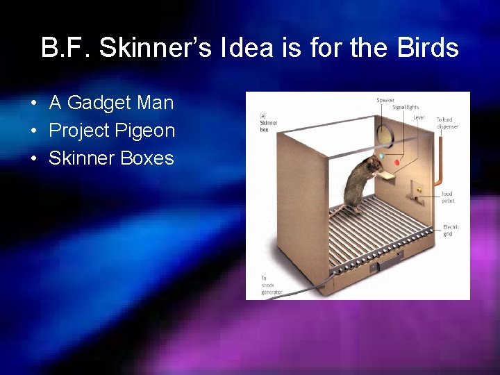 B. F. Skinner’s Idea is for the Birds • A Gadget Man • Project