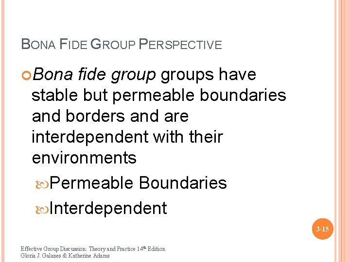 BONA FIDE GROUP PERSPECTIVE Bona fide groups have stable but permeable boundaries and borders