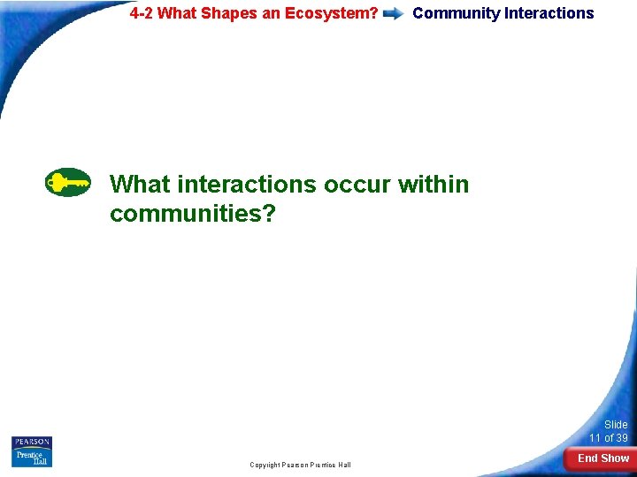 4 -2 What Shapes an Ecosystem? Community Interactions What interactions occur within communities? Slide