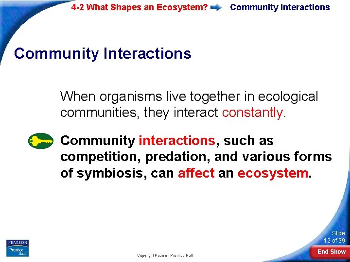 4 -2 What Shapes an Ecosystem? Community Interactions When organisms live together in ecological
