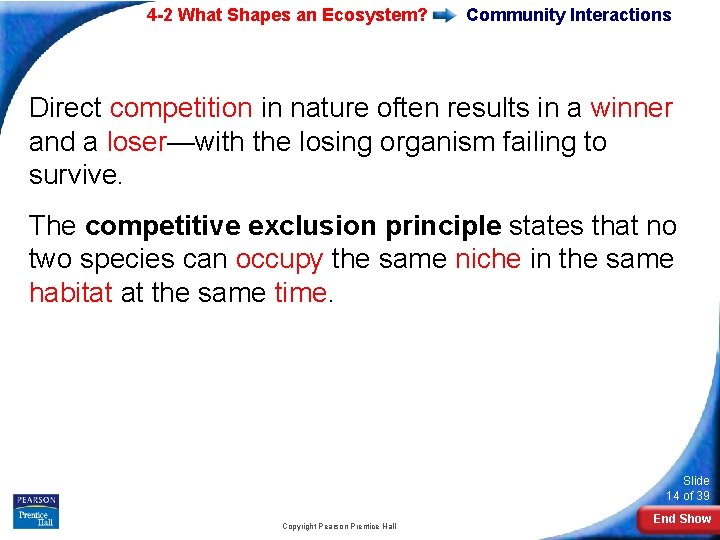 4 -2 What Shapes an Ecosystem? Community Interactions Direct competition in nature often results