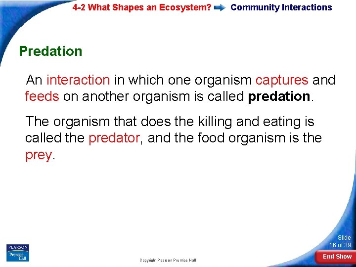 4 -2 What Shapes an Ecosystem? Community Interactions Predation An interaction in which one