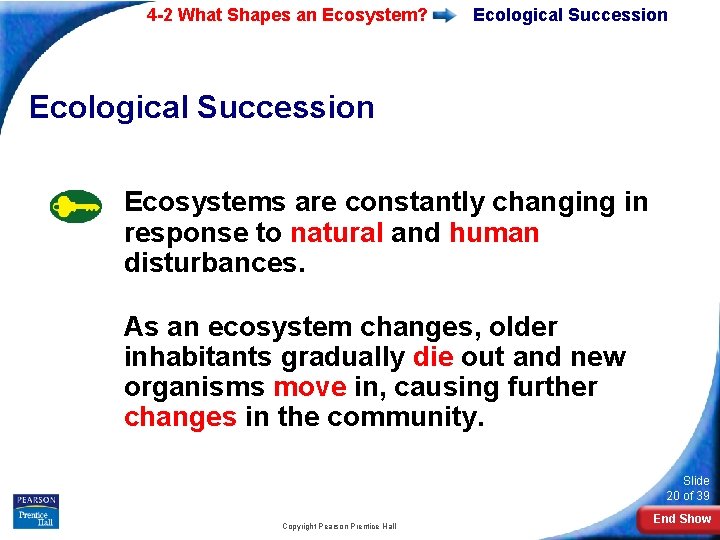 4 -2 What Shapes an Ecosystem? Ecological Succession Ecosystems are constantly changing in response