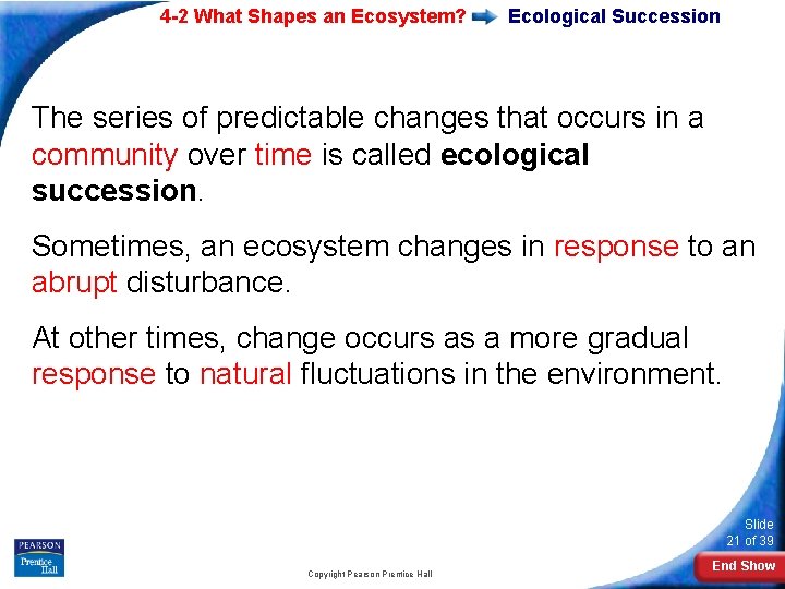 4 -2 What Shapes an Ecosystem? Ecological Succession The series of predictable changes that