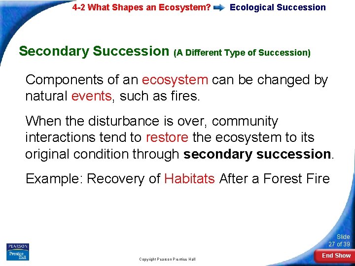 4 -2 What Shapes an Ecosystem? Ecological Succession Secondary Succession (A Different Type of