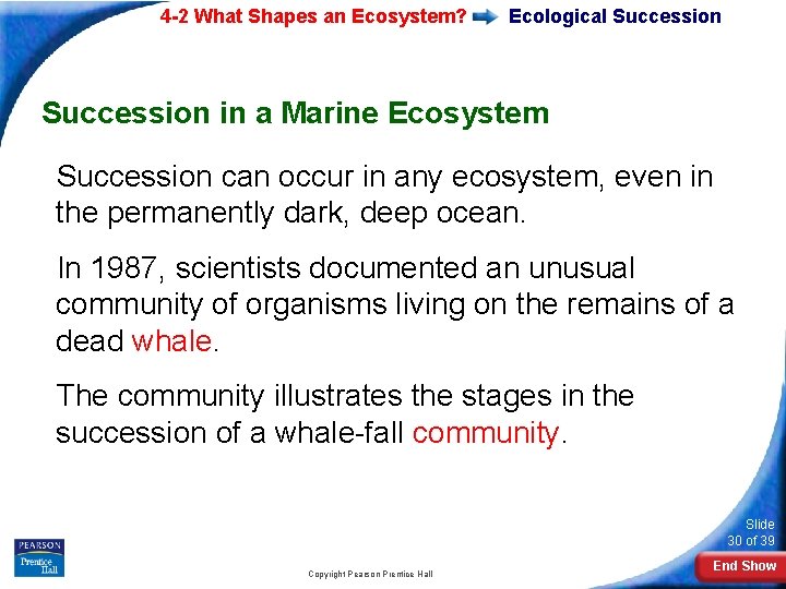 4 -2 What Shapes an Ecosystem? Ecological Succession in a Marine Ecosystem Succession can