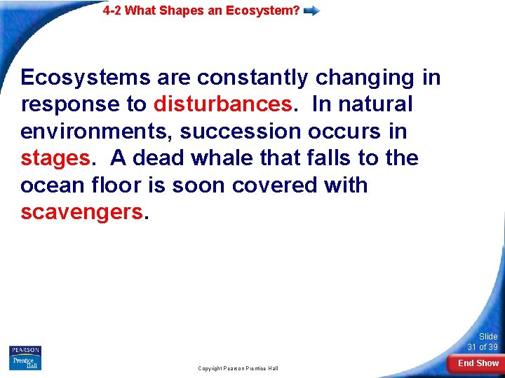 4 -2 What Shapes an Ecosystem? Ecosystems are constantly changing in response to disturbances.