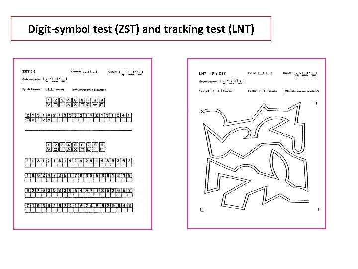 Digit-symbol test (ZST) and tracking test (LNT) 