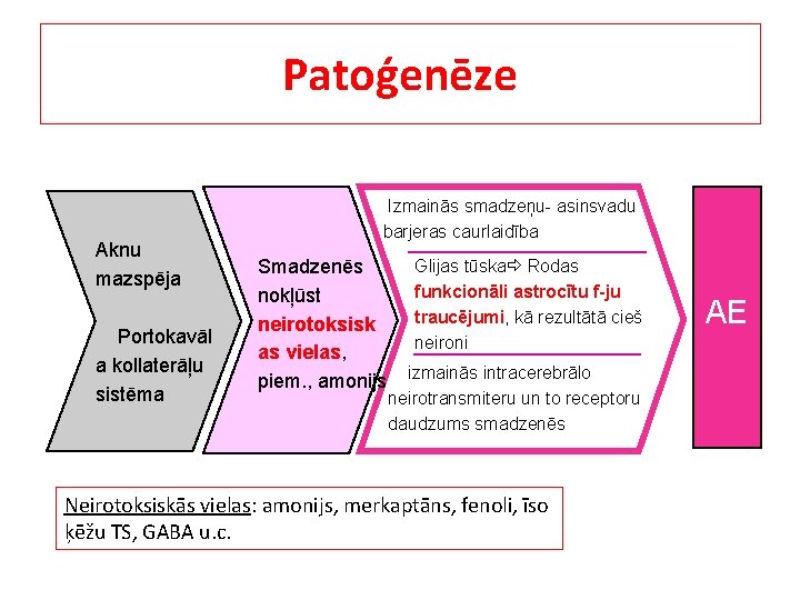 Patoģenēze Aknu mazspēja Portokavāl a kollaterāļu sistēma Izmainās smadzeņu- asinsvadu barjeras caurlaidība Smadzenēs nokļūst