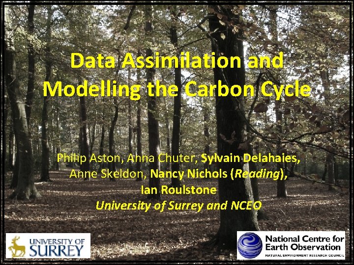 Data Assimilation and Modelling the Carbon Cycle Philip Aston, Anna Chuter, Sylvain Delahaies, Anne