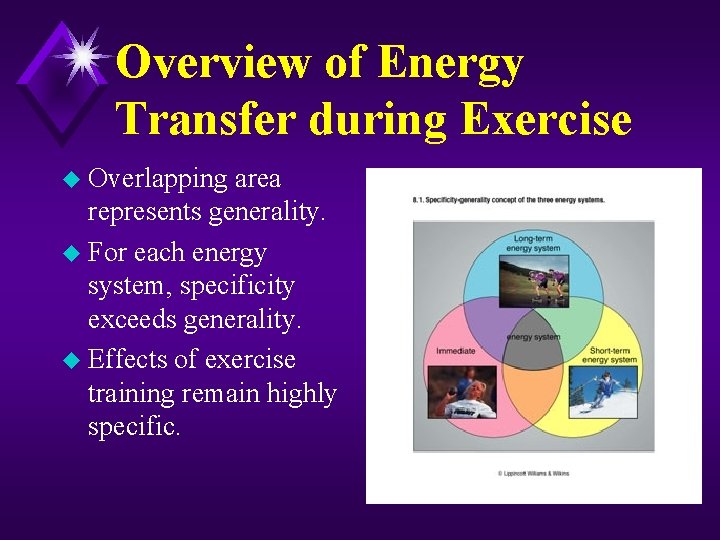 Overview of Energy Transfer during Exercise u Overlapping area represents generality. u For each