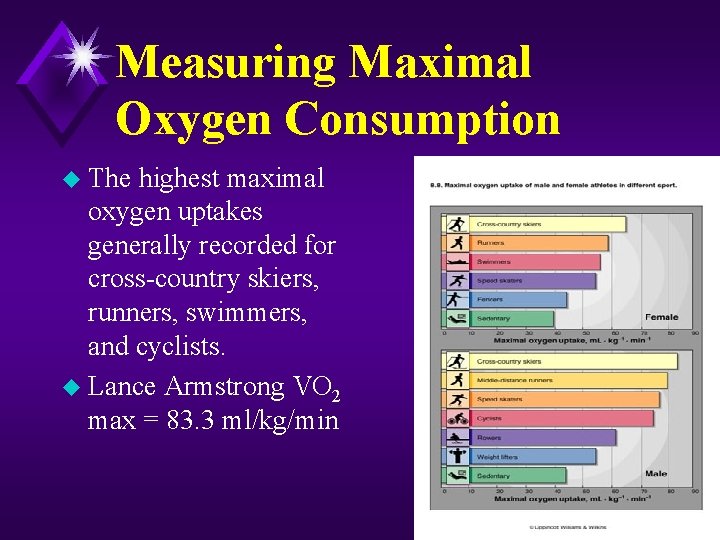 Measuring Maximal Oxygen Consumption u The highest maximal oxygen uptakes generally recorded for cross-country