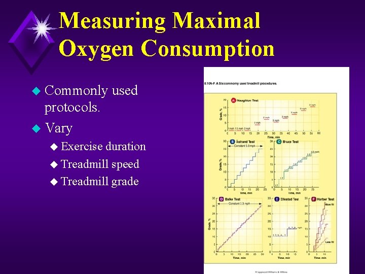 Measuring Maximal Oxygen Consumption u Commonly used protocols. u Vary u Exercise duration u