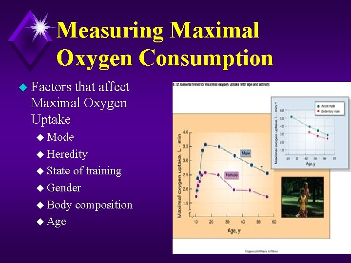 Measuring Maximal Oxygen Consumption u Factors that affect Maximal Oxygen Uptake u Mode u