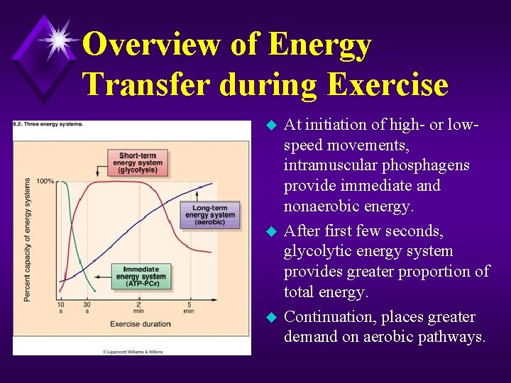 Overview of Energy Transfer during Exercise u u u At initiation of high- or